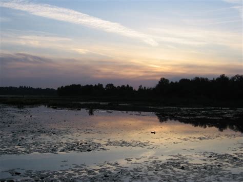 Burnaby Lake Regional Park