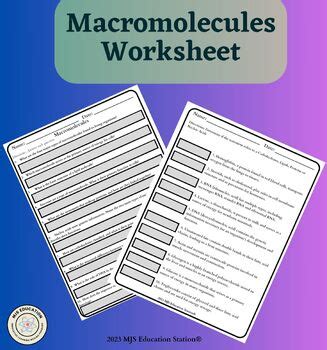 Macromolecules Biology Worksheet Practice by MJS Education | TPT 