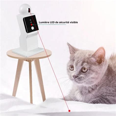 Jouet Laser Pour Chat Chat Glamour