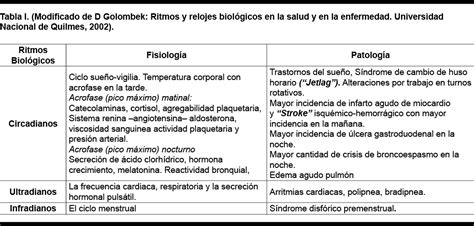 Venta Ejemplos De Ritmos Ultradianos En Stock