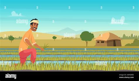 Rice Harvesting Field India Stock Vector Images Alamy