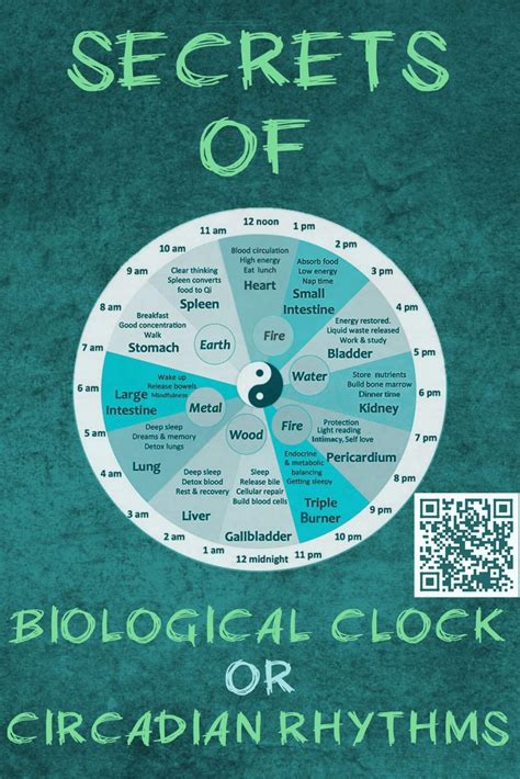 Secrets Of Biological Clock Or Body Clock Or Circadian Rhythms Ayurveda