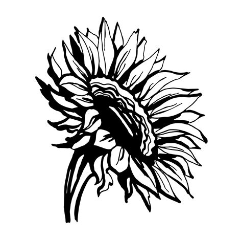 sunflower clip art black and white 5