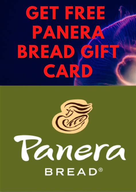 Panera Card Balance Panera Gift Card Balance Check Panera Bread