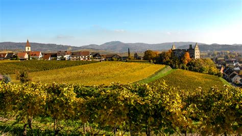 Herbstfreude Radtour Rund Um Den Kaiserstuhl Chilli Freiburg