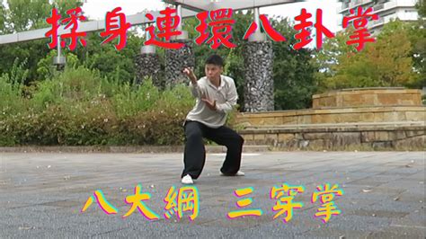 揉身連環八卦掌 八大綱 三穿掌 Badagang Sanchuanzhang Gao syle Baguazhang YouTube