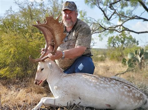 Fallow Deer - John P. Boerschig Ranches