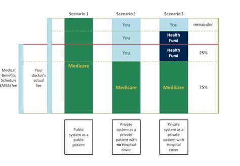 Public Vs Private Healthcare Australia Guide Gmhba