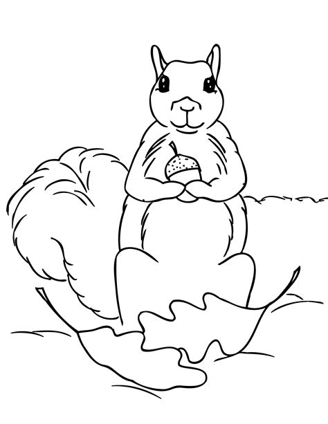 Squirrel Outline Coloring Page Coloring Pages