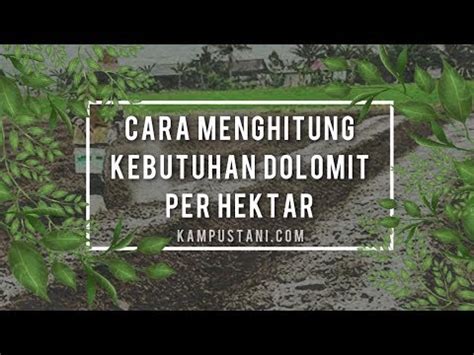 Cara Menghitung Kebutuhan Dolomit Per Hektar YouTube