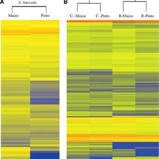 Heatmap Showing Overall Expression Profile Of Midgut Transcripts In