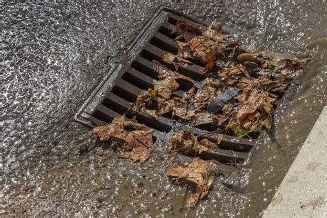 The Importance Of Storm Drain Cleaning All Septic Sewer Puyallup