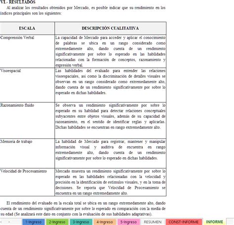 Test Wisc V Con Informe Gr Fico Y Textual Correcci N Con Software