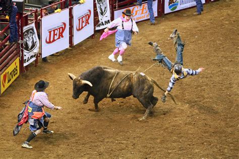 Bull Riding Victor Hamberlin Flickr