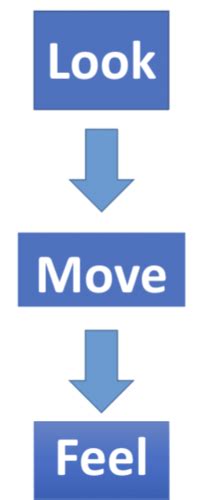 MSK Week 1 Objective Assessment Flashcards Quizlet