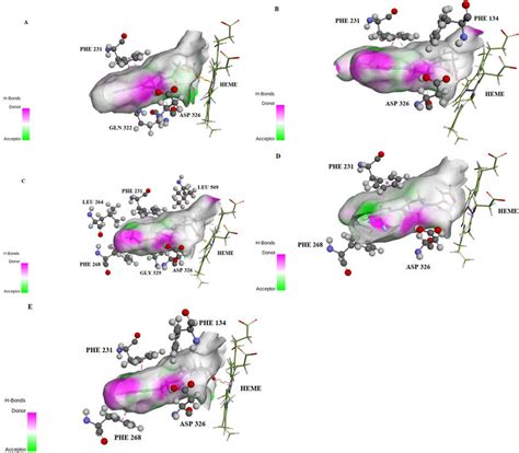 Top Virtual Screening Hits In The Active Site Of Cyp B Crystal