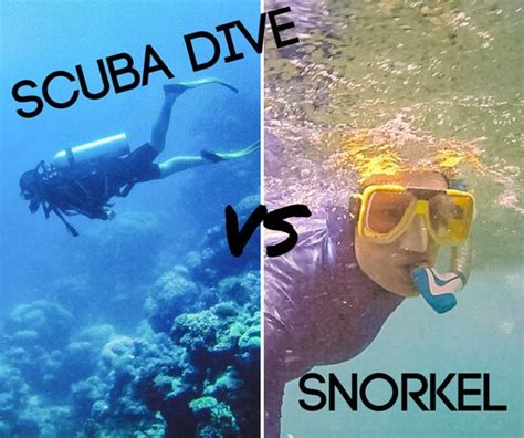 Scuba Diving Vs Snorkeling Which Is Right For You Desertdivers