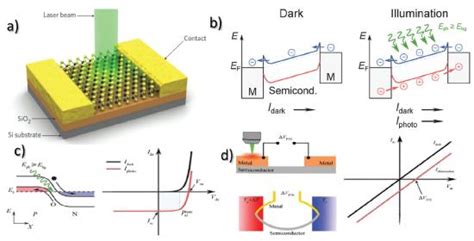 What Are The Mechanisms Of Photodetectors Neoncq