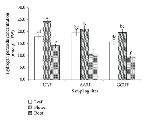 Hydrogen Peroxide H O A And Malondialdehyde Mda Concentration