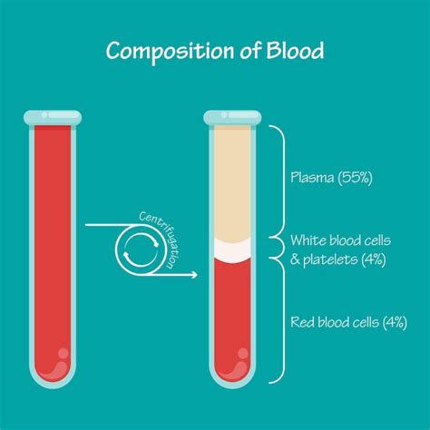 Composition Du Sang Apr S Centrifugation Graphique D Illustration