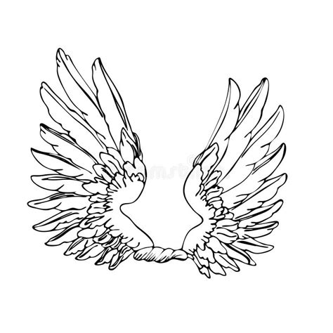 Black And White Wings Pair Of White Isolated Angel Style Wings With