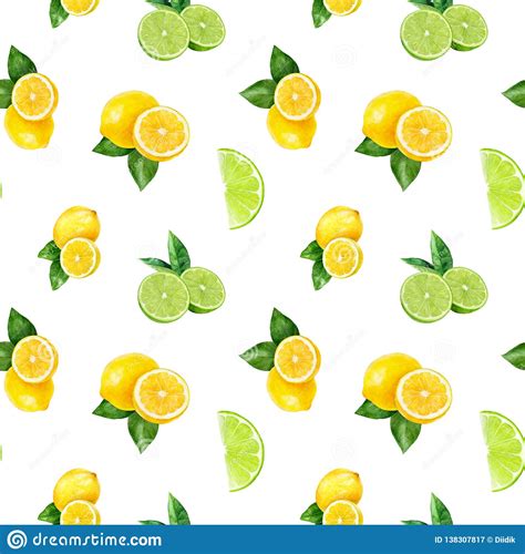 Watercolor Hand Drawn Lemon Lime Fruit Seamless Pattern Stock Illustration Illustration Of