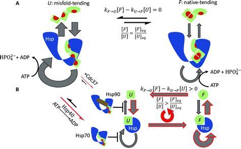 Reactive Flux In Chaperone Mediated Non Equilibrium Protein Folding Download Scientific