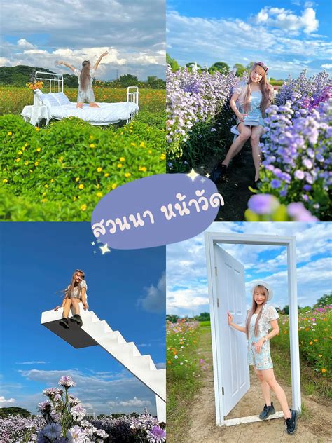 👉คนเหนือพามาแอ่วสวนดอกไม้สวยๆ🌼🌸🌺ที่แม่ริม เชียงใหม่ แกลเลอรีที่โพสต์