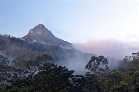 Adam S Peak Pilgrimage In Sri Lanka Rove Me