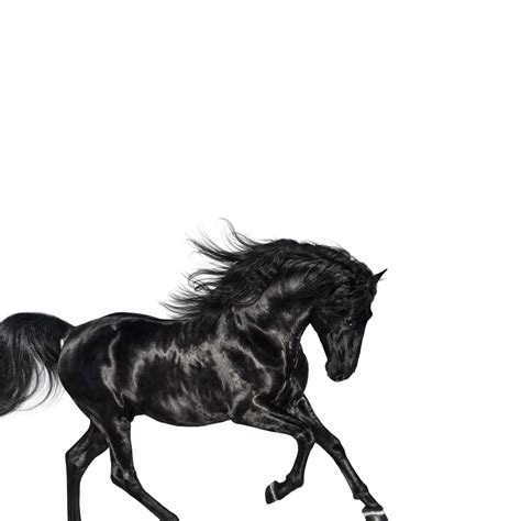 ‎old Town Road Single — álbum De Lil Nas X — Apple Music