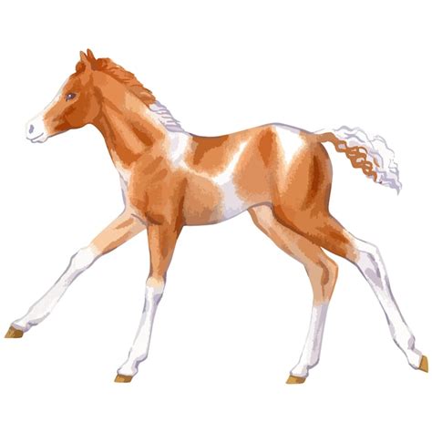 Premium Vector Vector Watercolor Illustration Of Running Baby Horse Foal