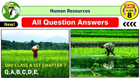 🌿human Resources Dav Class 8 Sst Chapter 7 Question Answer Geography Dav Public School Q A B C