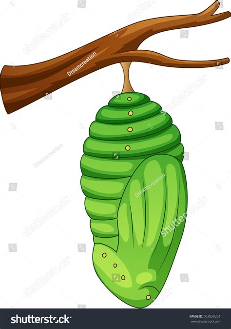 Cartoon Pupa Butterfly Stock Vector (Royalty Free) 503059351 | Shutterstock