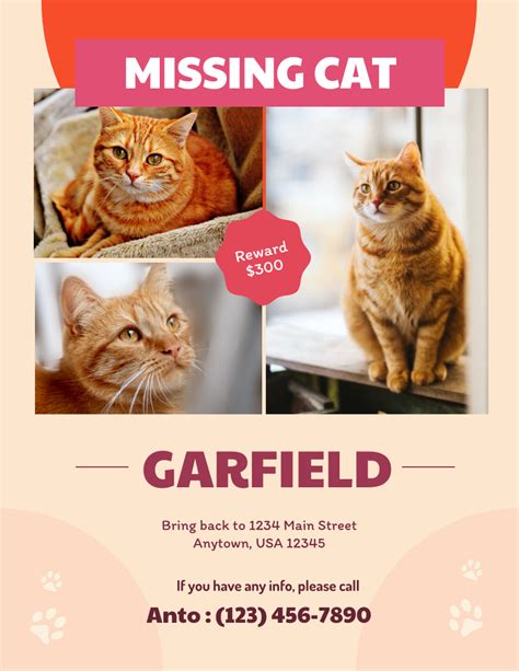 Soft Peach Missing Cat Poster - Venngage