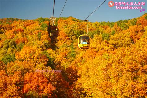 大邱景點八公山纜車怎麼去？2024交通資訊、票價