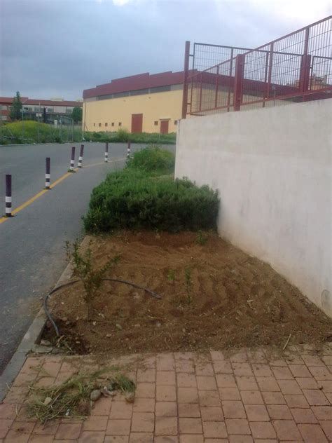 Parques Y Jardines De Ogijares Arreglo Jardines Piscina Municipal