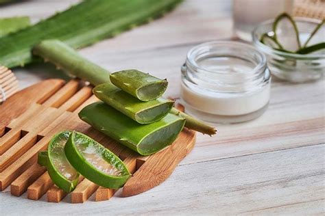 Ecco Come Avere Una Pelle Perfetta Con L Aloe Vera Eleganza Plus