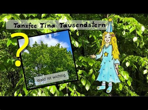 Warum ist der Wald so wichtig Wissen für Kinder YouTube