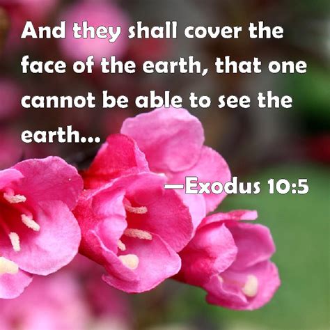 Exodus And They Shall Cover The Face Of The Earth That One Cannot