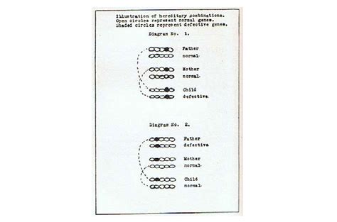 Heredity and Environment - Light of Egypt