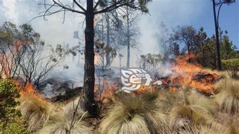 Quemaban Pasto Para Sembrar Papa Y Causaron Incendio En Faldas Del Pico