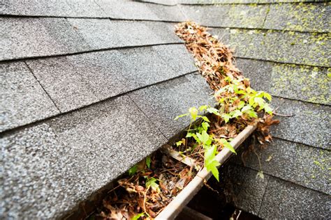 Gutter Maintenance Dangers Of Clogged Gutters Garlock French Roofing