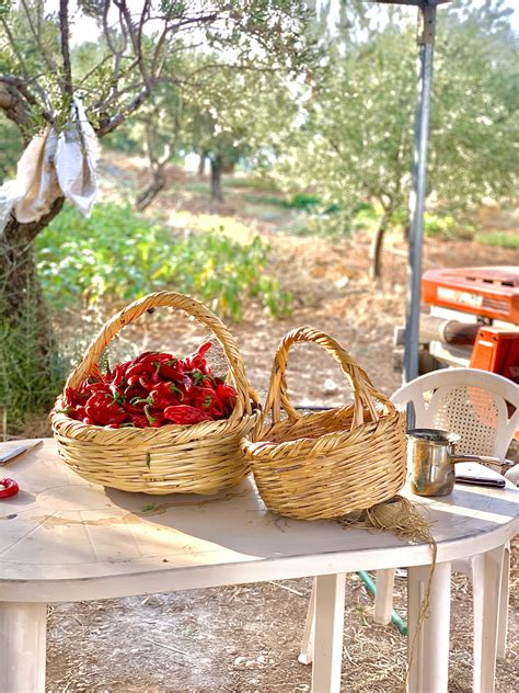 The Kitchen Babe WELCOME TO MY GOURMET WORLD