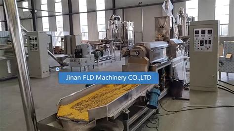 Automatic Double Screw Breakfast Cereal Corn Flakes Production Line