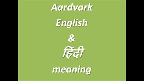 Aardvark English And Hindi Meaning Youtube