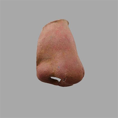 Ww1s Nose Prosthesis Memento Mori