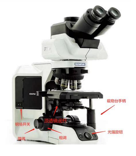 奥林巴斯 Bx53 正置荧光显微镜 使用说明