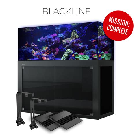 Giesemann Aquarium Komplettset Inklusive LED Aquariumbeleuchtung TESZLA