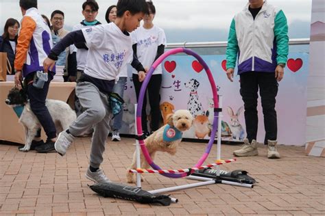 警方夥團體舉辦嘉年華 宣揚愛護動物 助流浪毛孩尋家 星島日報