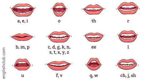 Pronunciation | Learn English